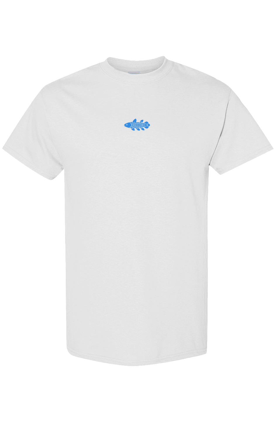 Forgotten, But Not Gone Tee