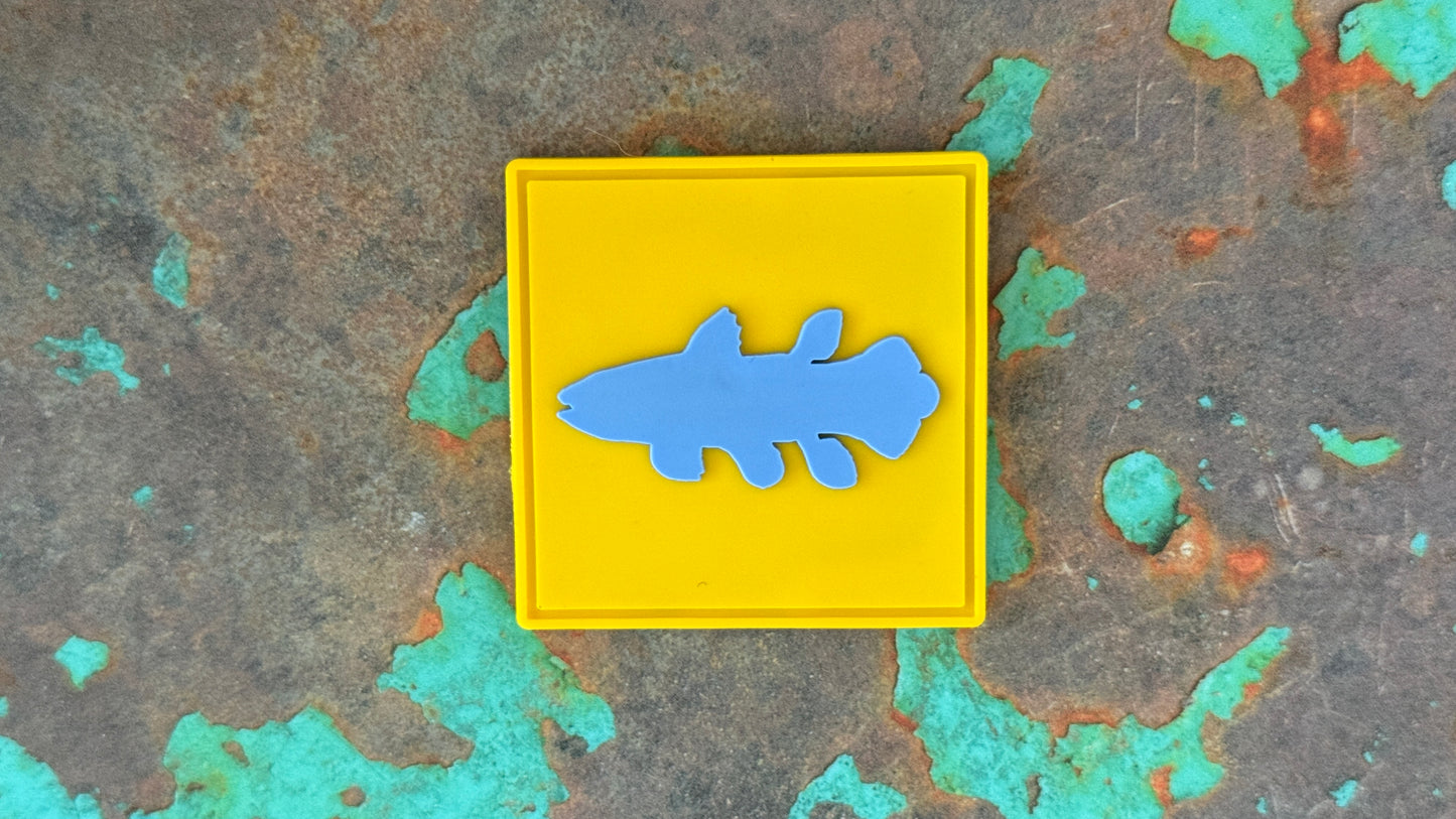 Coelacanth Logo 2x2 Patch