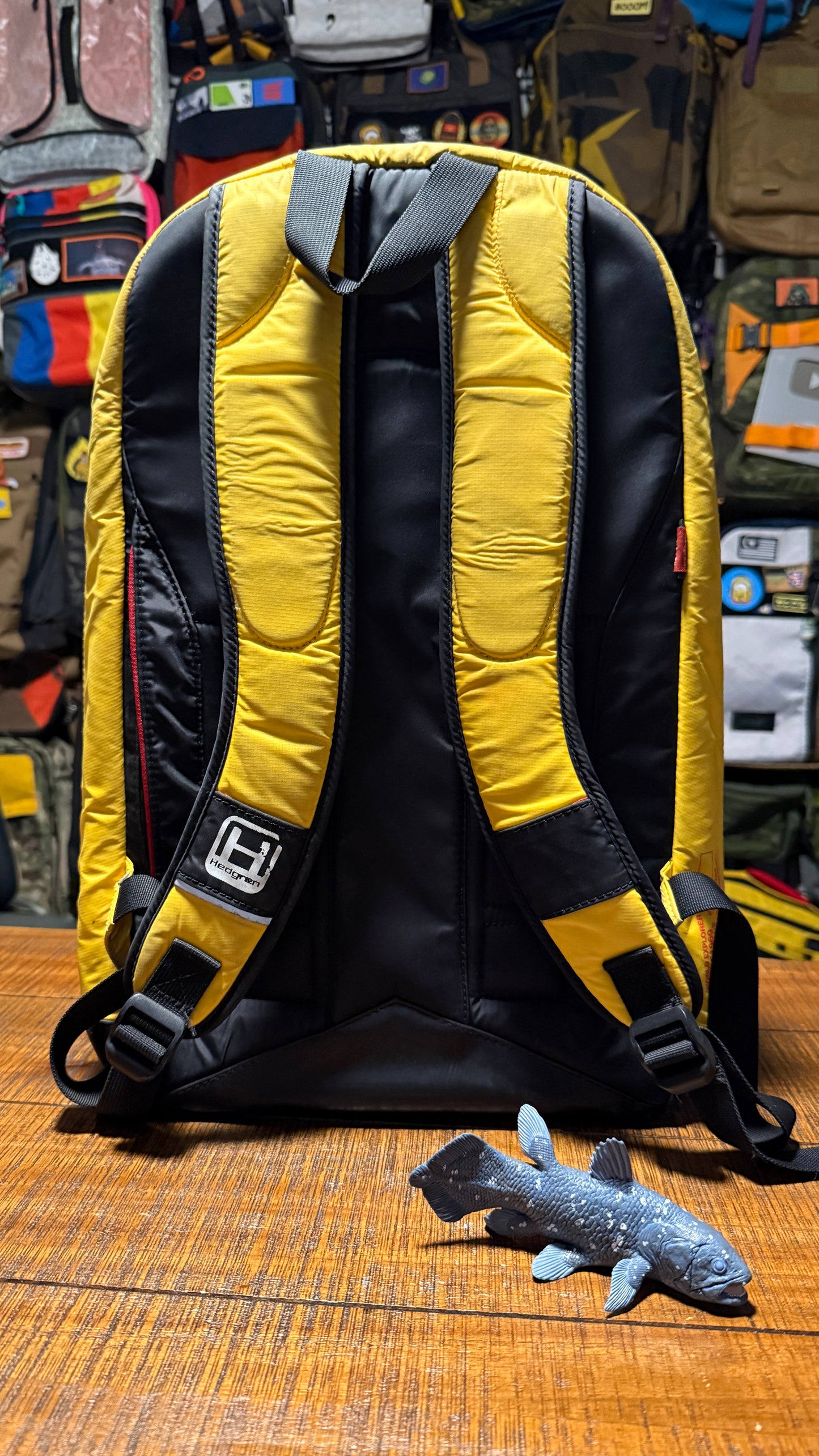 Hedgren World Explorer Backpack